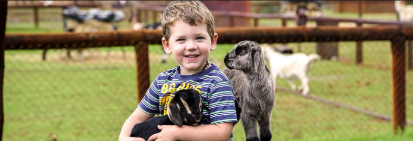 Looking For Cuddly Animal Farm In Perth