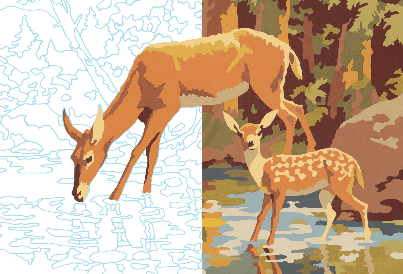 Deer Paint by Numbers