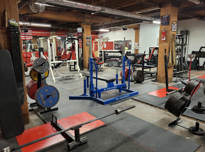 Buy Gym Equipment: Points To Consider For Investing in Used Gym Accessories