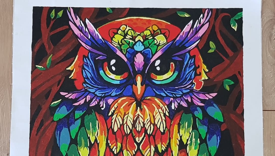 Owl Paint By Numbers: Marrying Your Love Birds And Painting